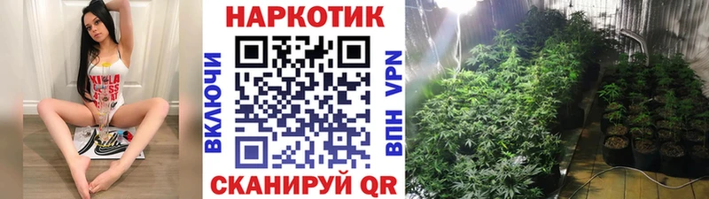 Купить наркотик аптеки Питкяранта mega ссылки  ГАШ  Cocaine  А ПВП 
